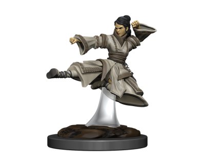 WizKids - D&D Icons of the Realms Premium Figures: Human Monk Female