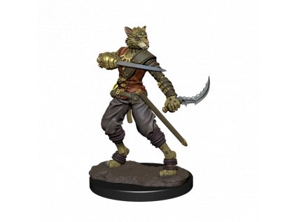 WizKids - D&D Icons of the Realms Premium Figures: Tabaxi Rogue Male