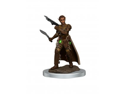 WizKids - D&D Icons of the Realms Premium Figures: Female Shifter Rogue
