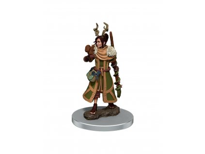 WizKids - D&D Icons of the Realms Premium Figures: Female Human Druid