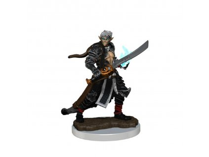 WizKids - Pathfinder Painted Premium: Male Elf Magus