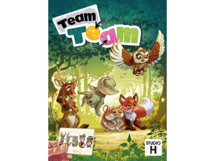 Team Team (půjčovna)