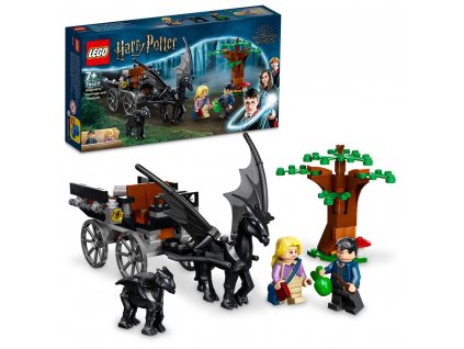 LEGO® Bradavice: Kočár a testrálové 76400