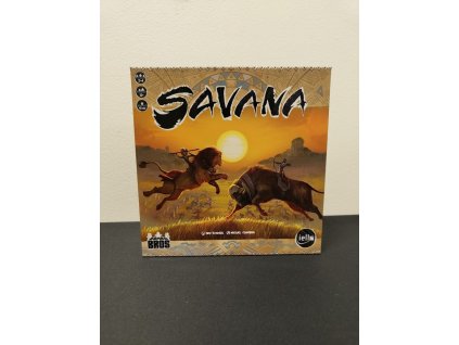 Bazar - Savana
