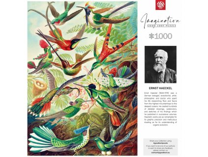 5908305246794 haeckel hummingbirds puzzles 1000 2d back[1]