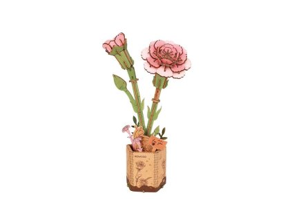 TW051 HL[1]