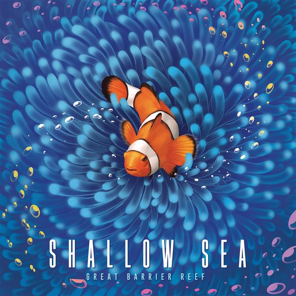 Bad Comet Shallow Sea