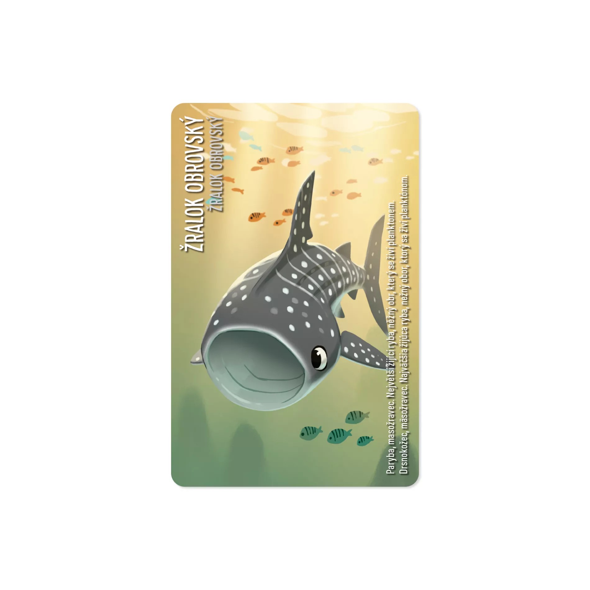 Albi Similo: Báje Obrázek