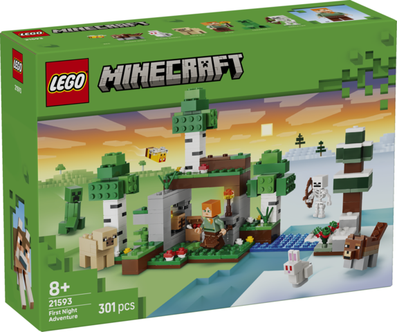 LEGO LEGO® Minecraft® První noční dobrodružství 21593