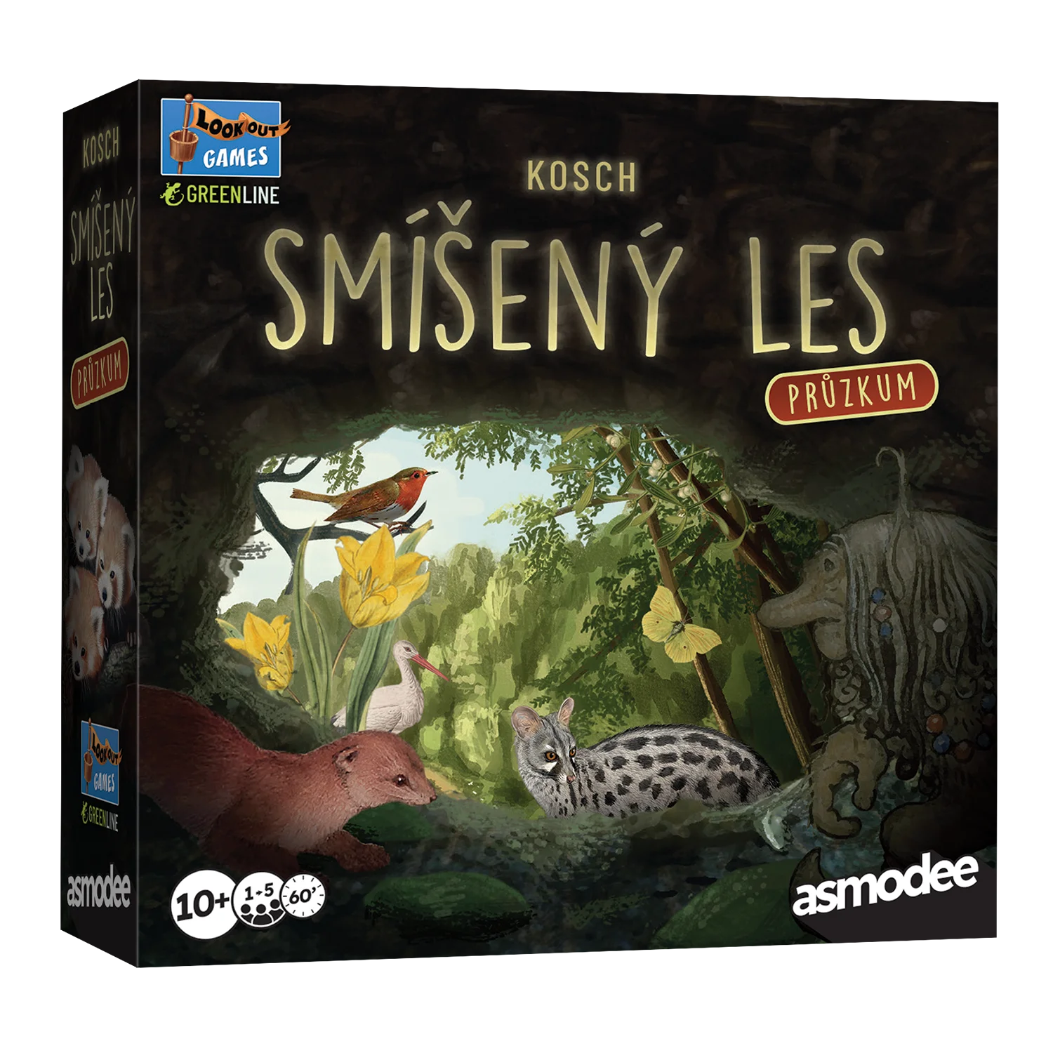 Asmodee Czech Republic Smíšený les: Průzkum