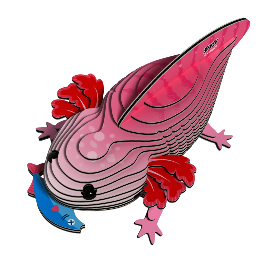 EUGY Axolotl 3D kartonová skládačka
