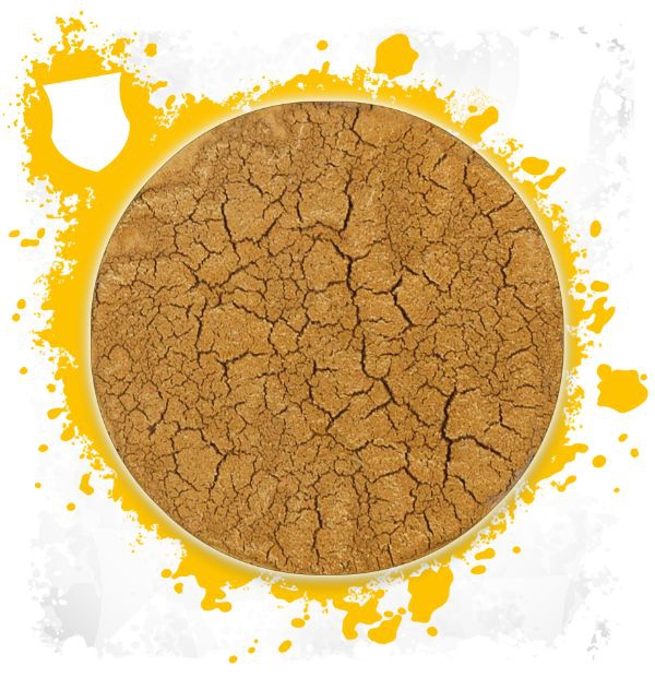 Citadel Texture Paint - Agrellan Badland