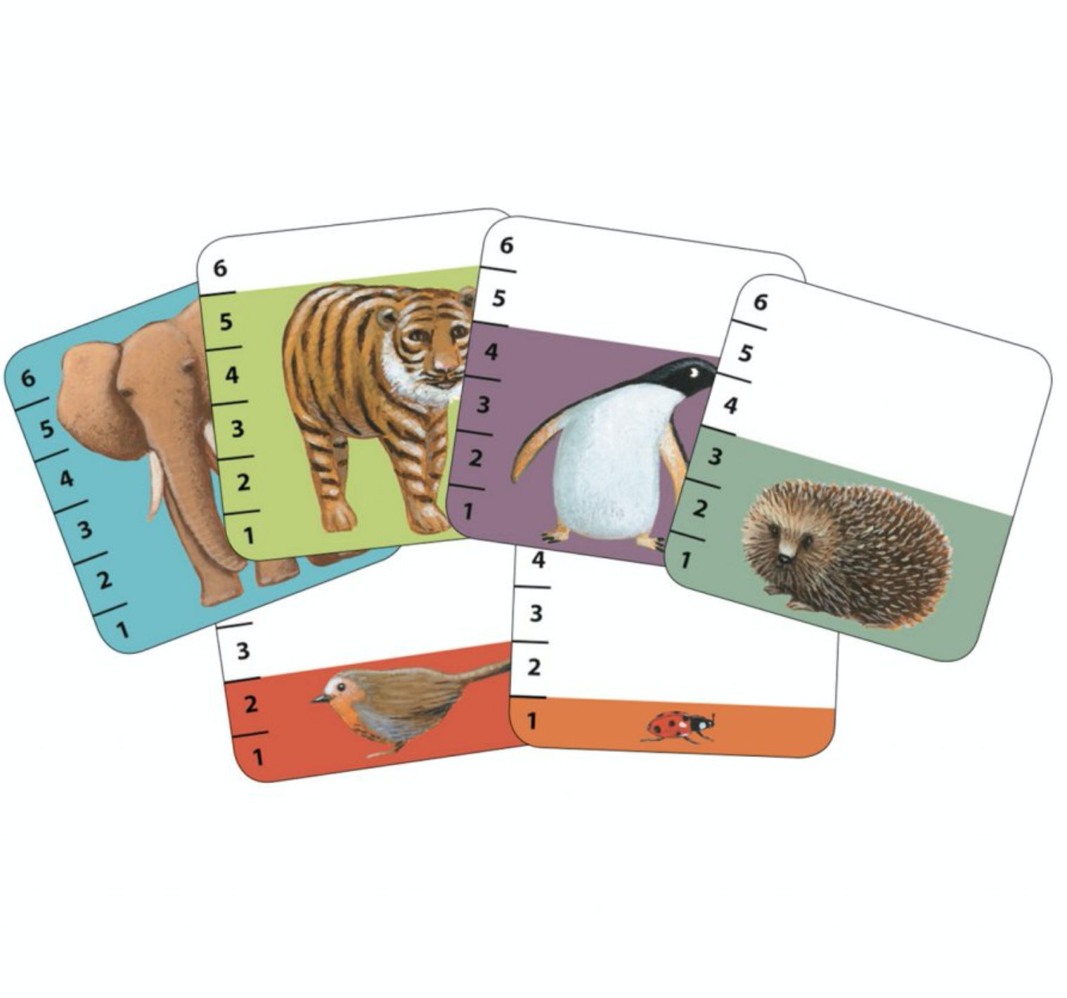 Djeco Batanimo Obrázek