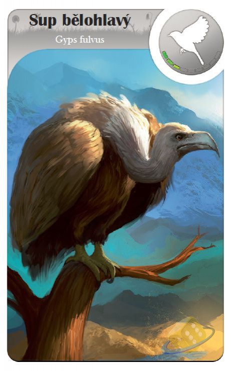 Blackfire CZ Cardline Svět zvířat Obrázek