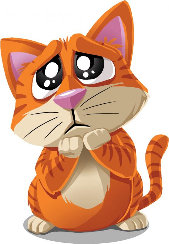 Blackfire CZ Kdo to byl? Obrázek