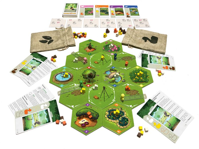 First Fish Ducks in Tow Obrázek