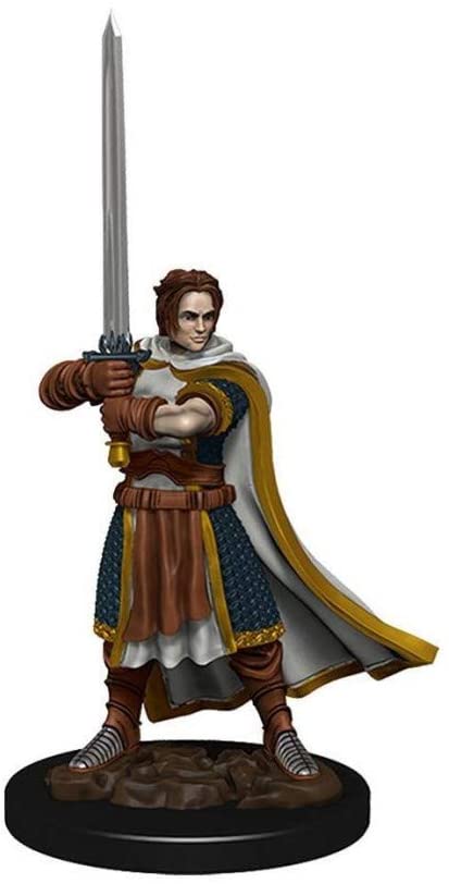 Levně WizKids D&D Icons of the Realms: Premium Painted Figure - Human Cleric Male