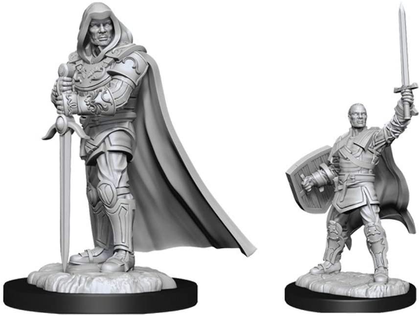 WizKids D&D Nolzur's Marvelous Miniatures - Human Paladin Male