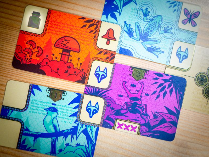 Bombyx Codex Naturalis ENG Obrázek