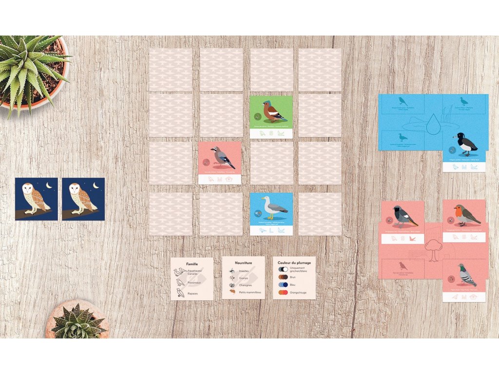 Helvetiq Fly Home Obrázek