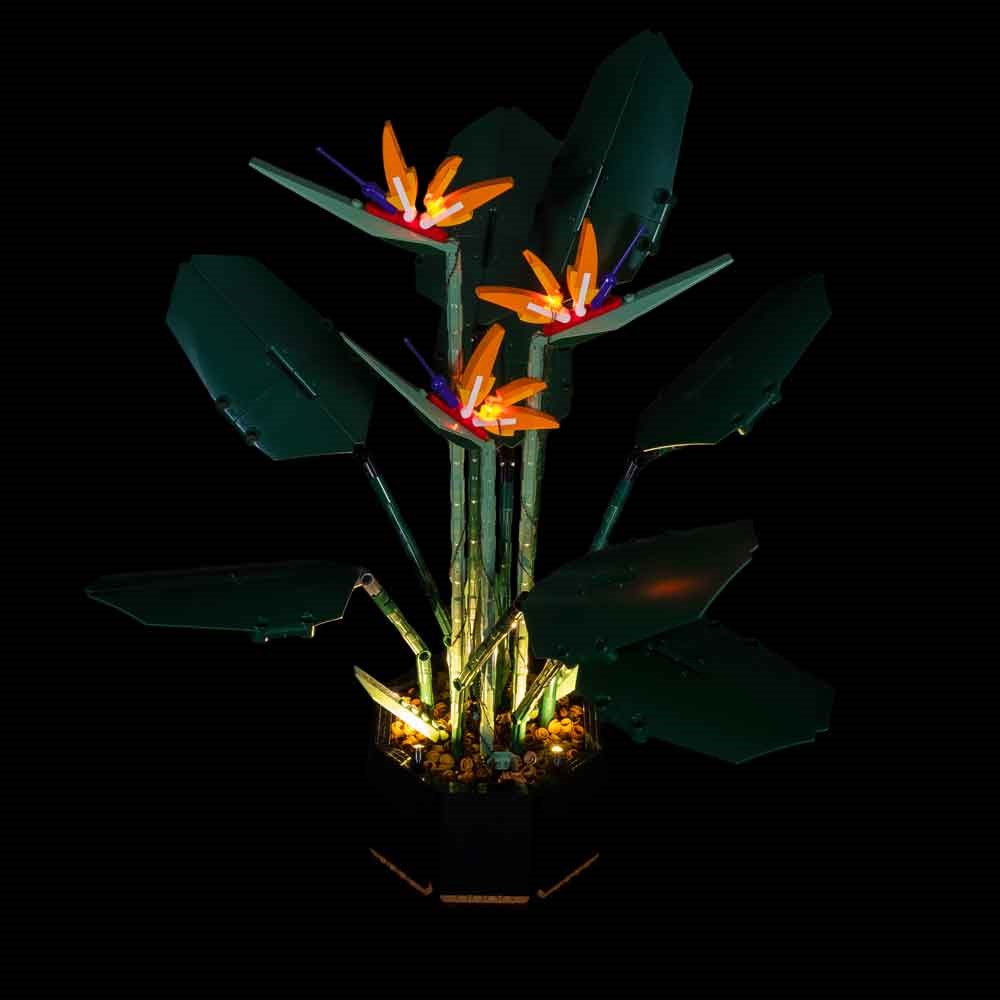 Light my Bricks Sada světel - LEGO Bird of Paradise 10289 Obrázek