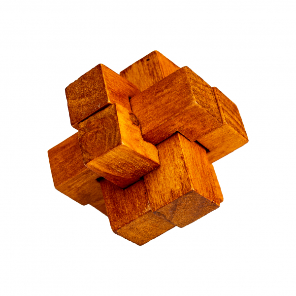 Albi Great Minds - DARWIN Obrázek