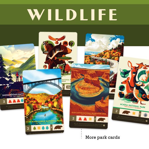 Keymaster Games Parks: Wildlife Expansion Obrázek
