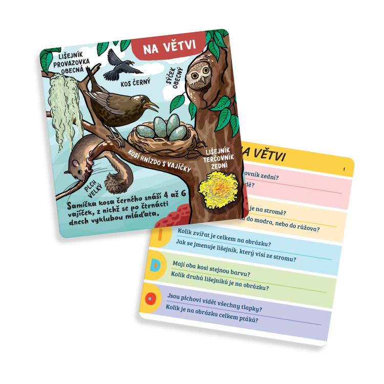 Albi Kvído - Příroda v kostce Obrázek