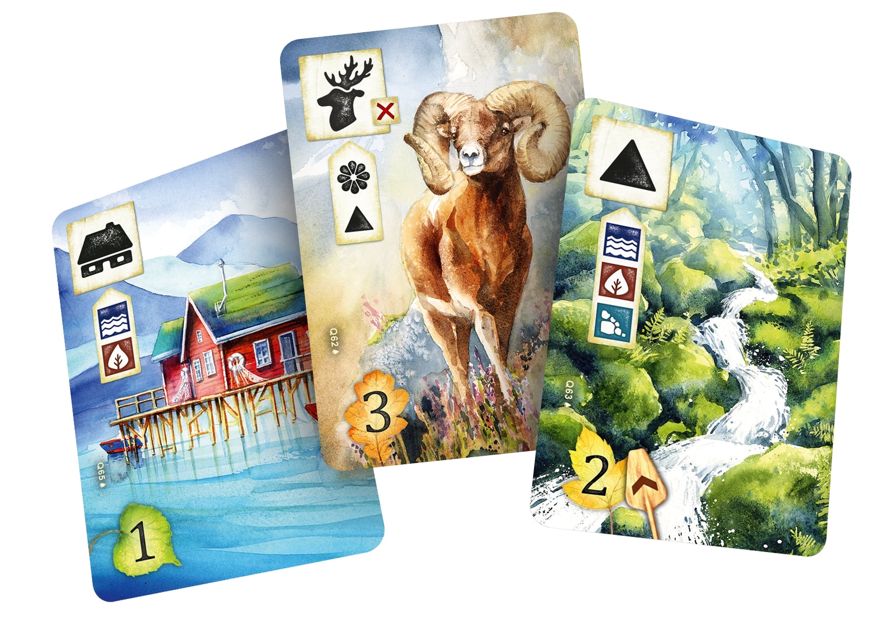 Blackfire CZ Na louce: Po proudu Obrázek