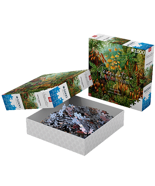 Good Loot Imagination: Ernst Haeckel - Muscinae Puzzle 1000 Obrázek