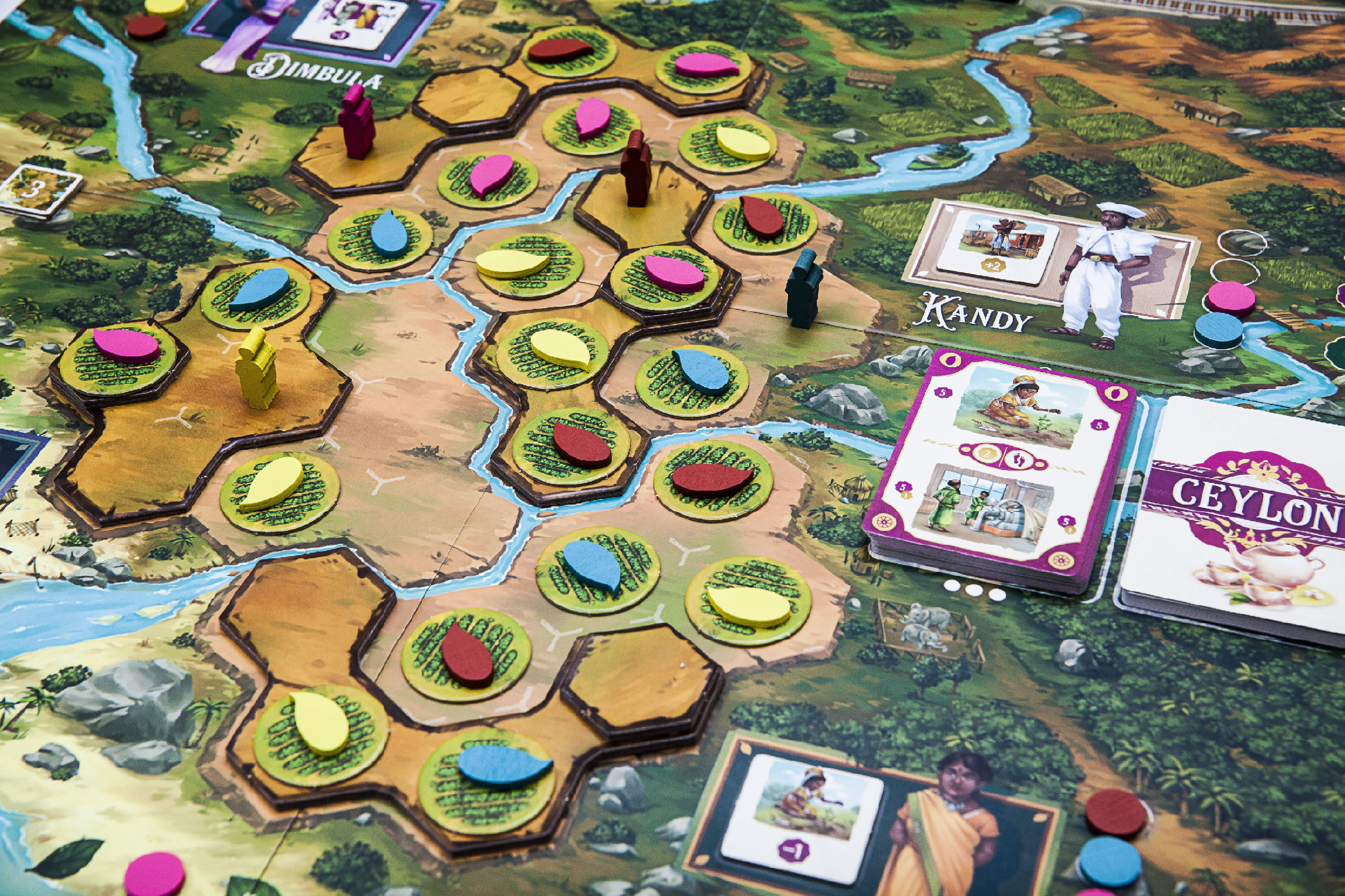 TLAMA games Ceylon Obrázek