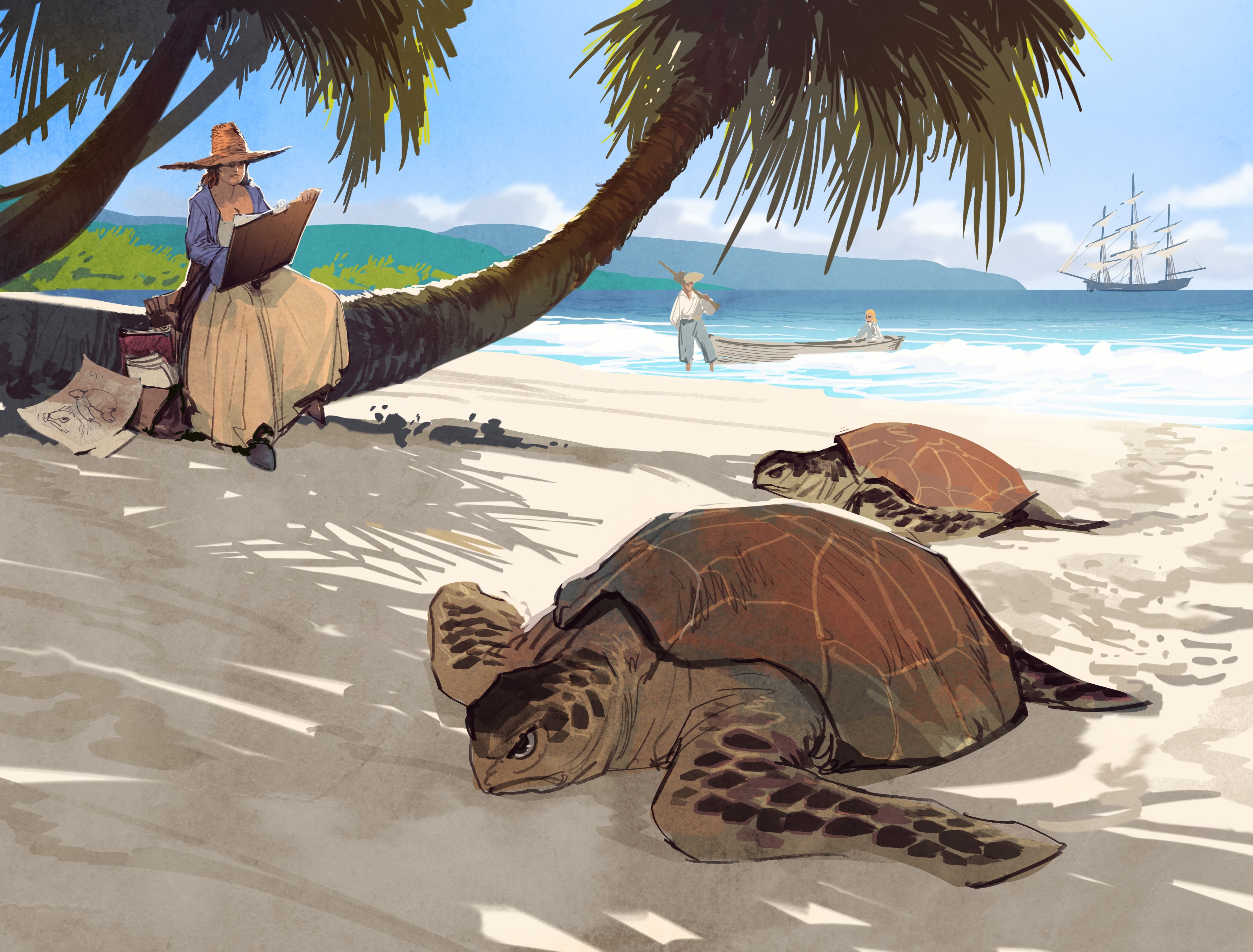 Blackfire CZ Encyklopedie Obrázek