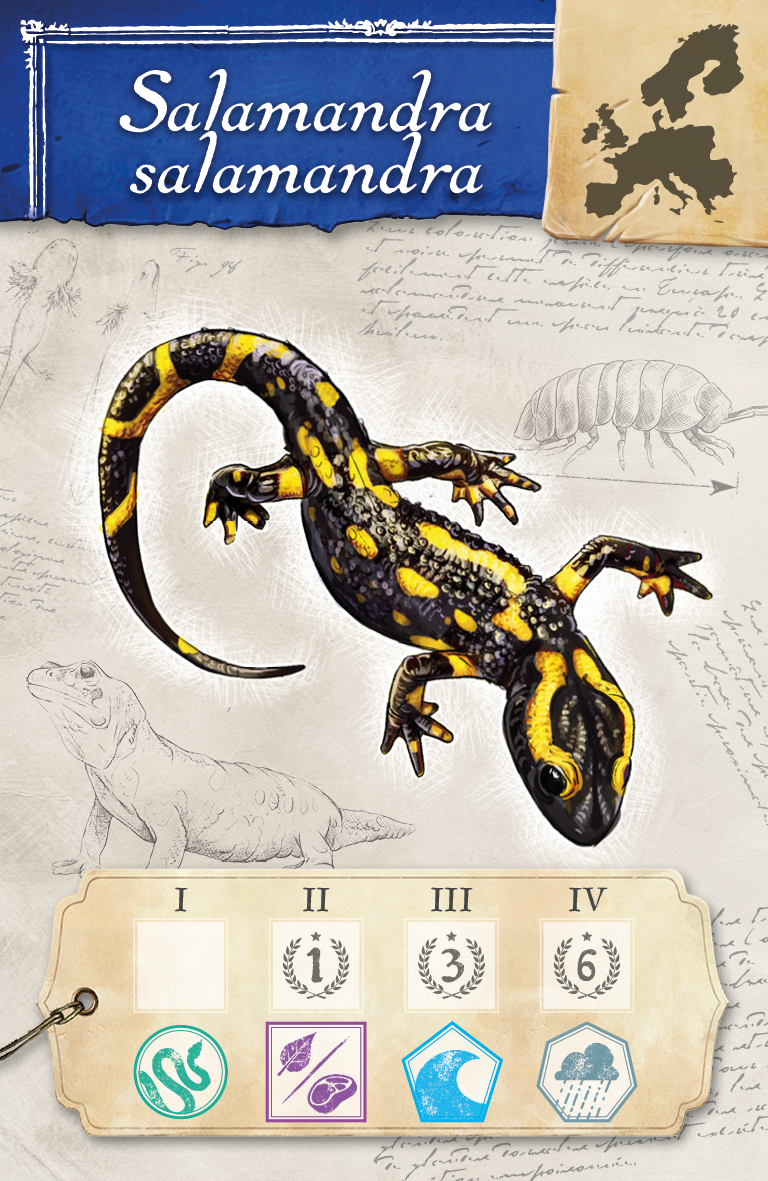 Blackfire CZ Encyklopedie Obrázek