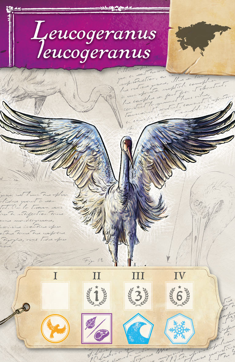 Blackfire CZ Encyklopedie Obrázek