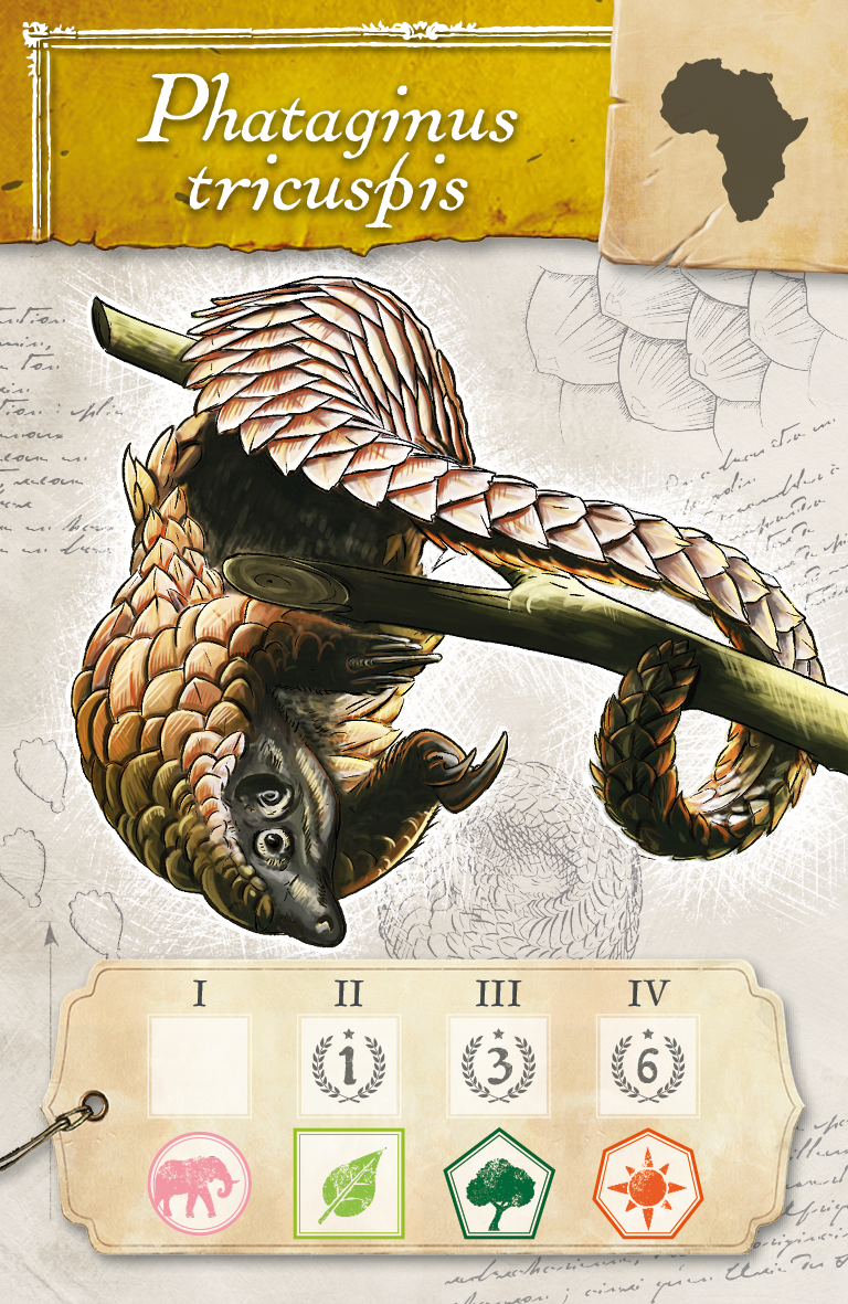 Blackfire CZ Encyklopedie Obrázek