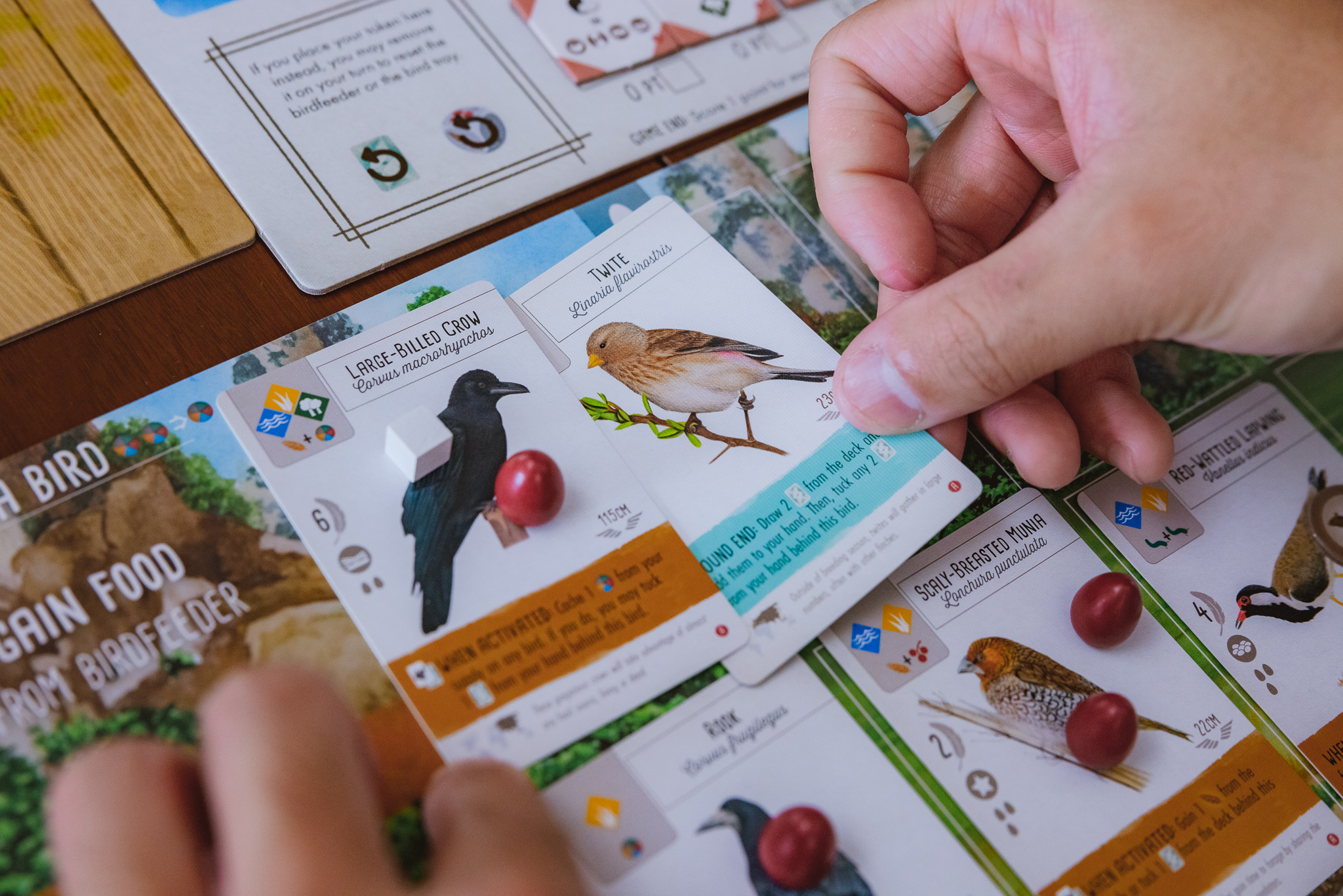 Stonemaier Games Wingspan Asia - EN Obrázek