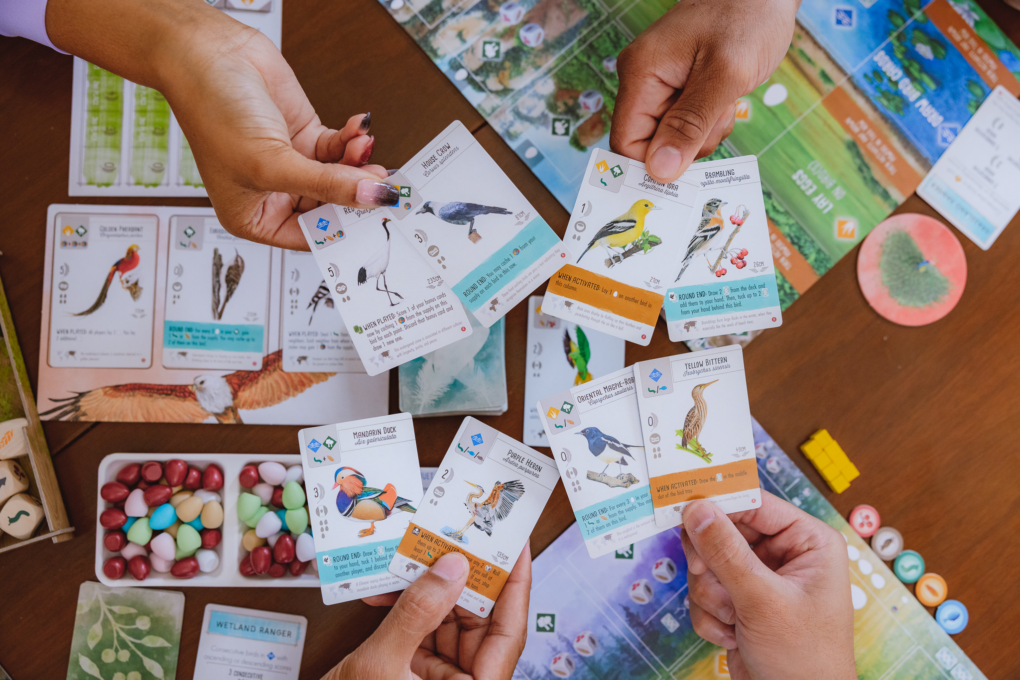 Stonemaier Games Wingspan Asia - EN Obrázek