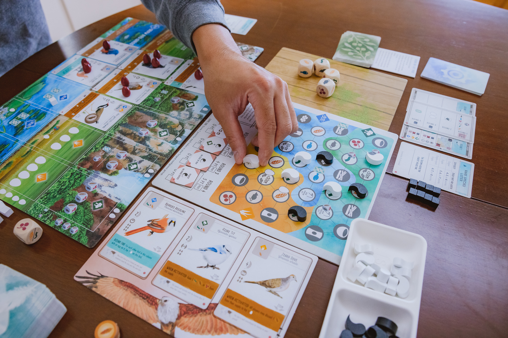 Stonemaier Games Wingspan Asia - EN Obrázek