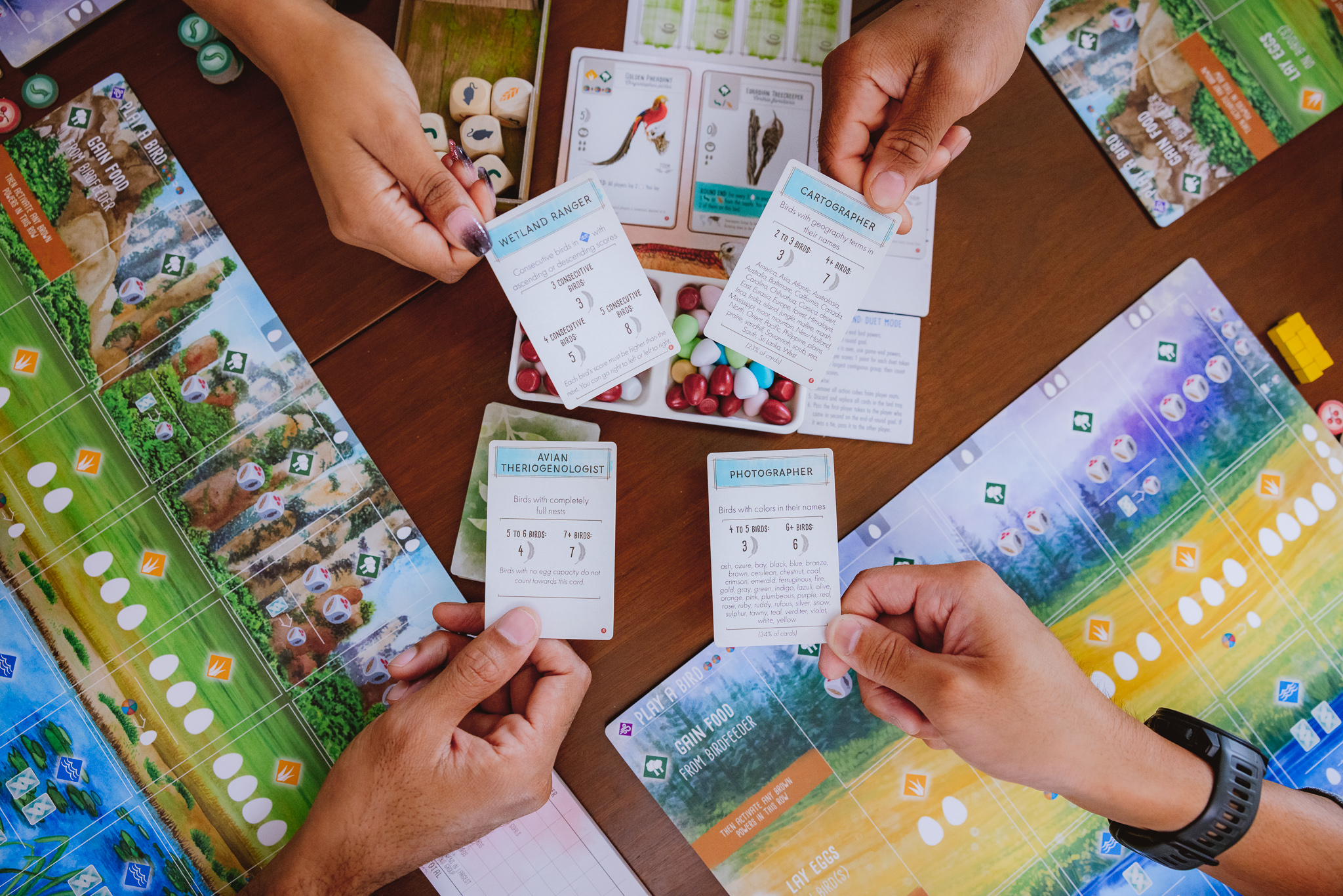 Stonemaier Games Wingspan Asia - EN Obrázek