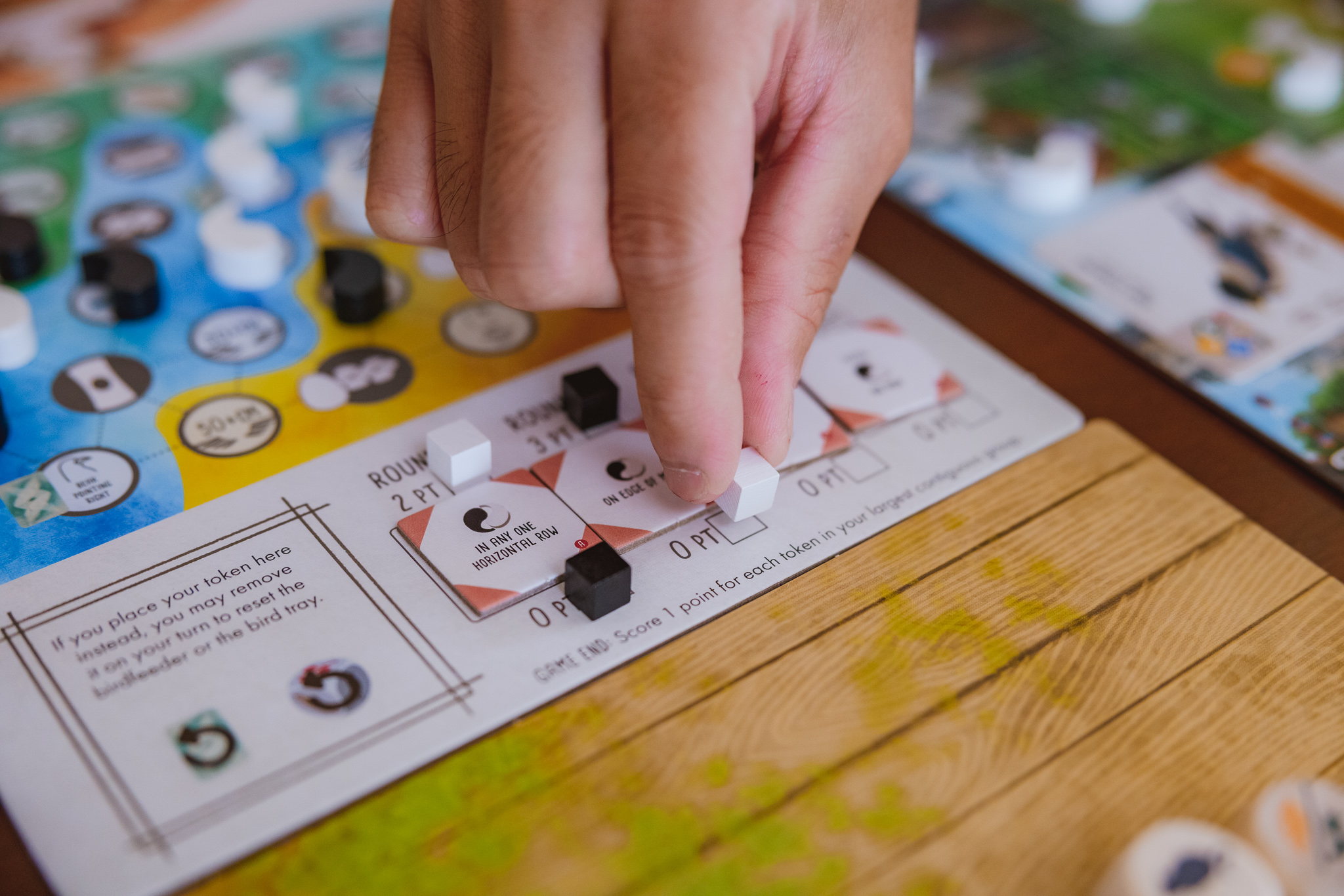 Stonemaier Games Wingspan Asia - EN Obrázek