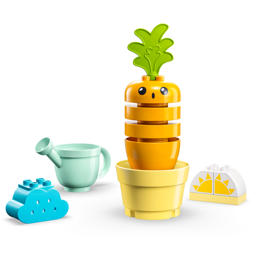 LEGO® Pěstování mrkve 10981 Obrázek