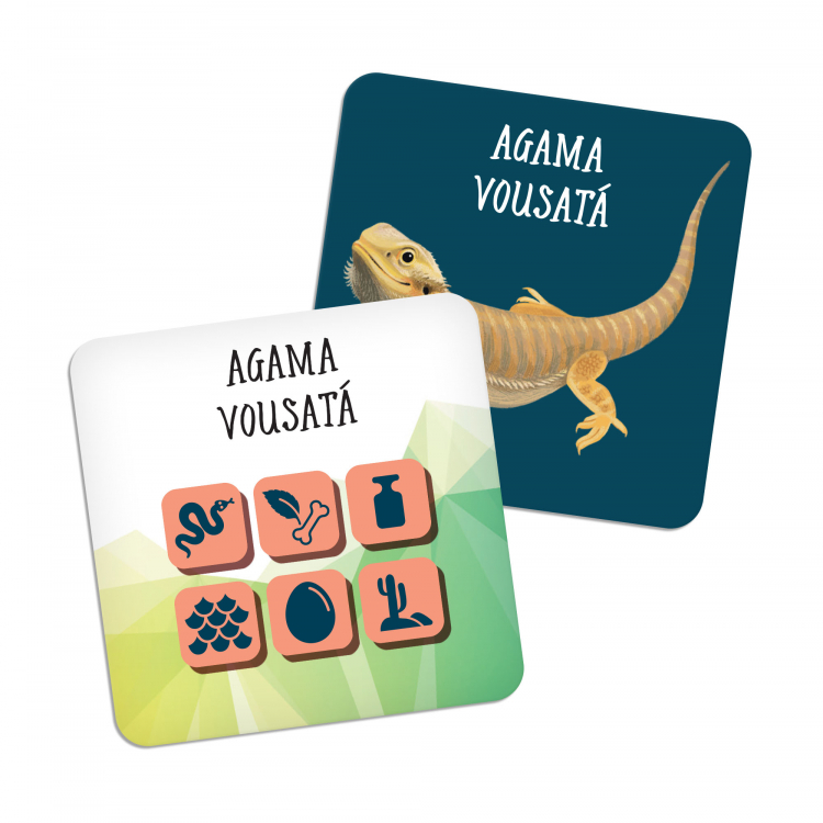 Albi Chytré kostky - Zvířata Obrázek