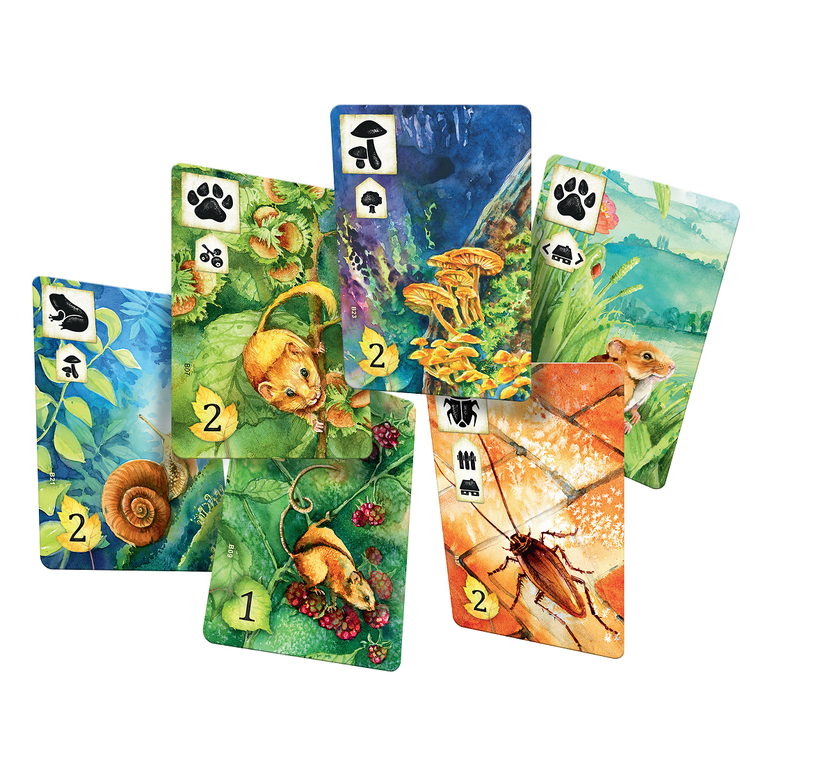 Blackfire CZ Na louce Obrázek