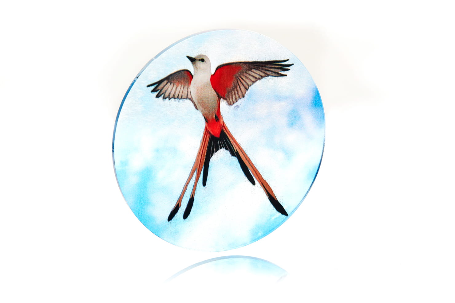 Poland Games Token and Markers: Wingspan + expansions Token Set Obrázek