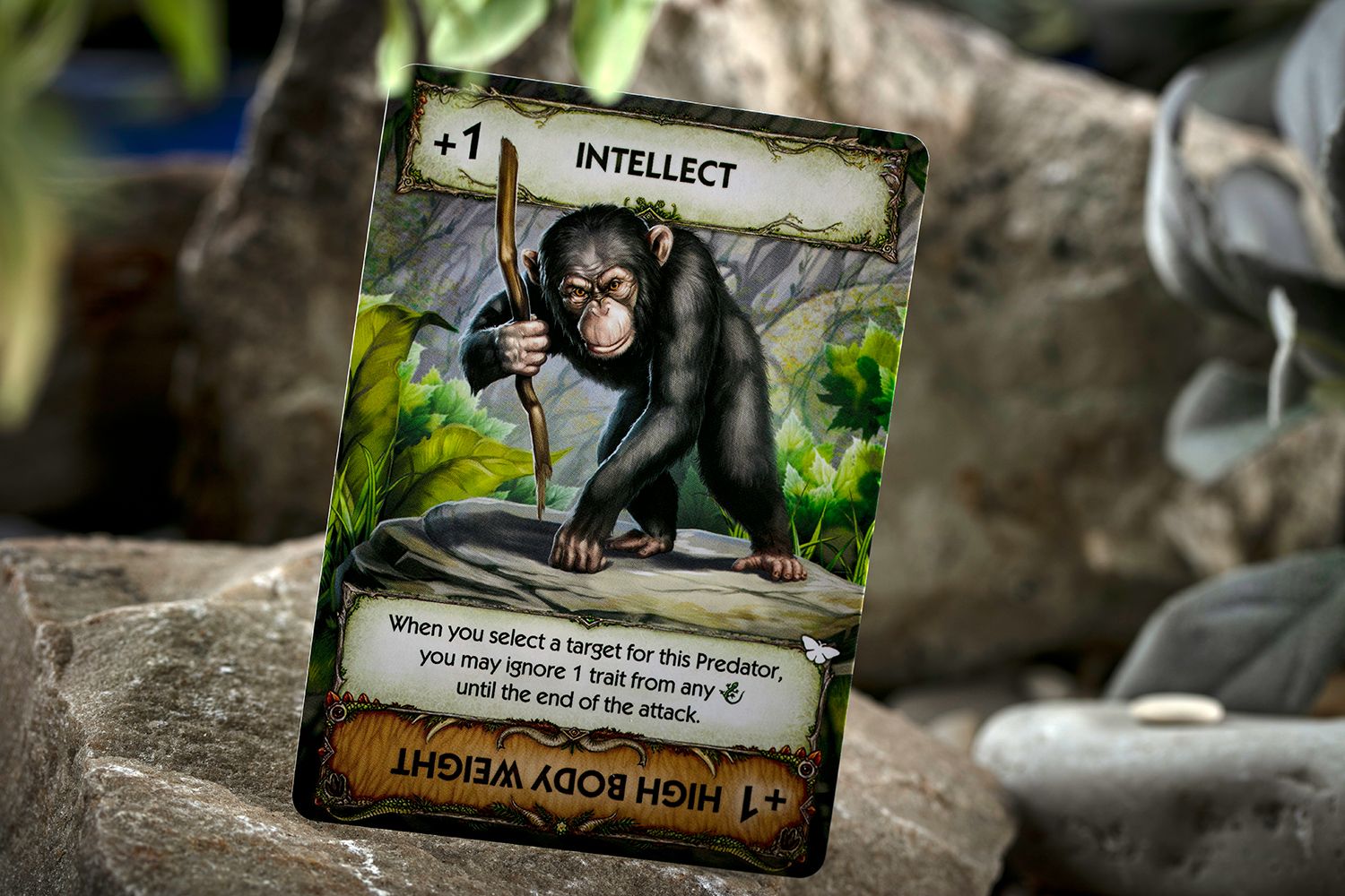 Rightgames RBG SIA Evolution: New World – Butterfly Effect Obrázek