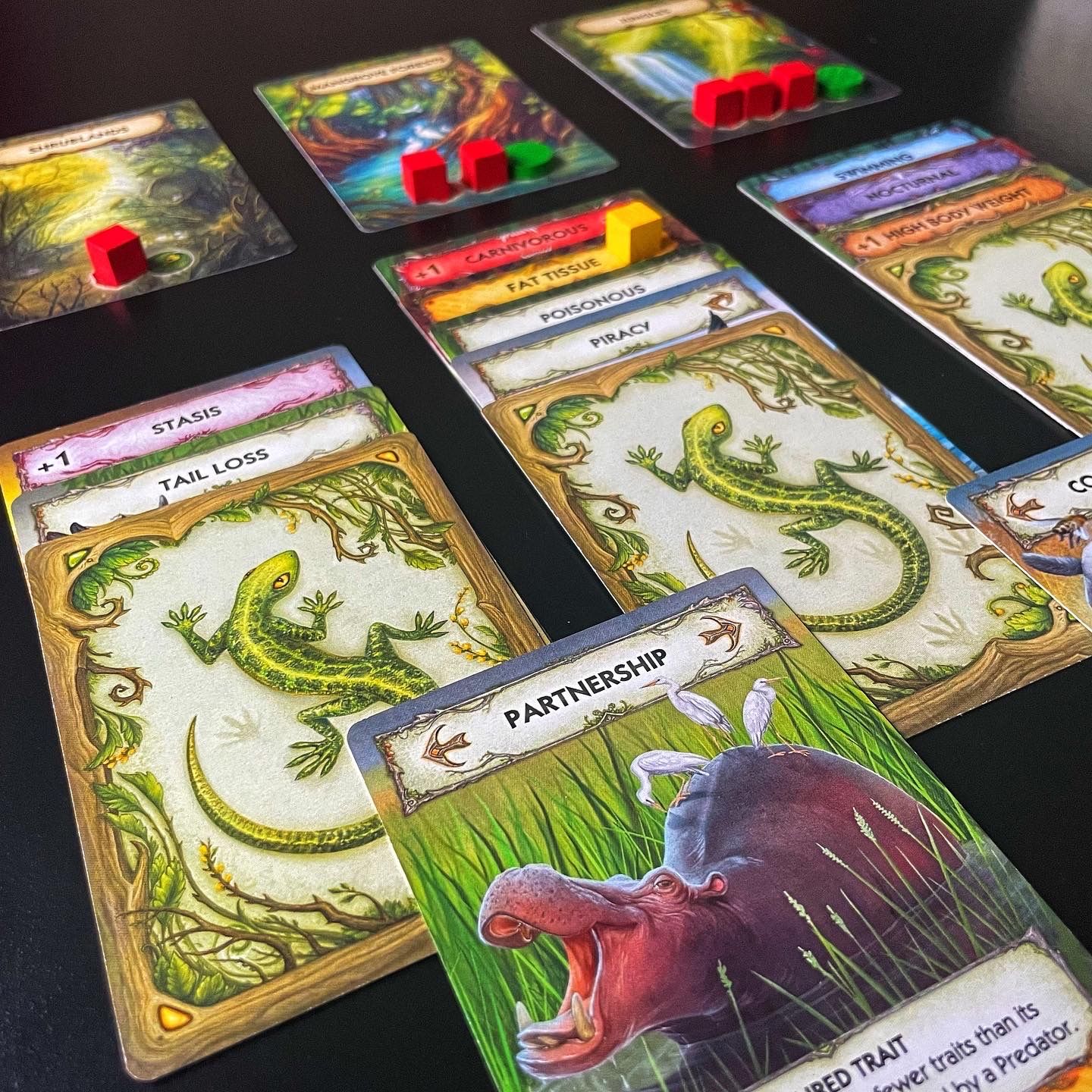 Rightgames RBG SIA Evolution: New World Obrázek