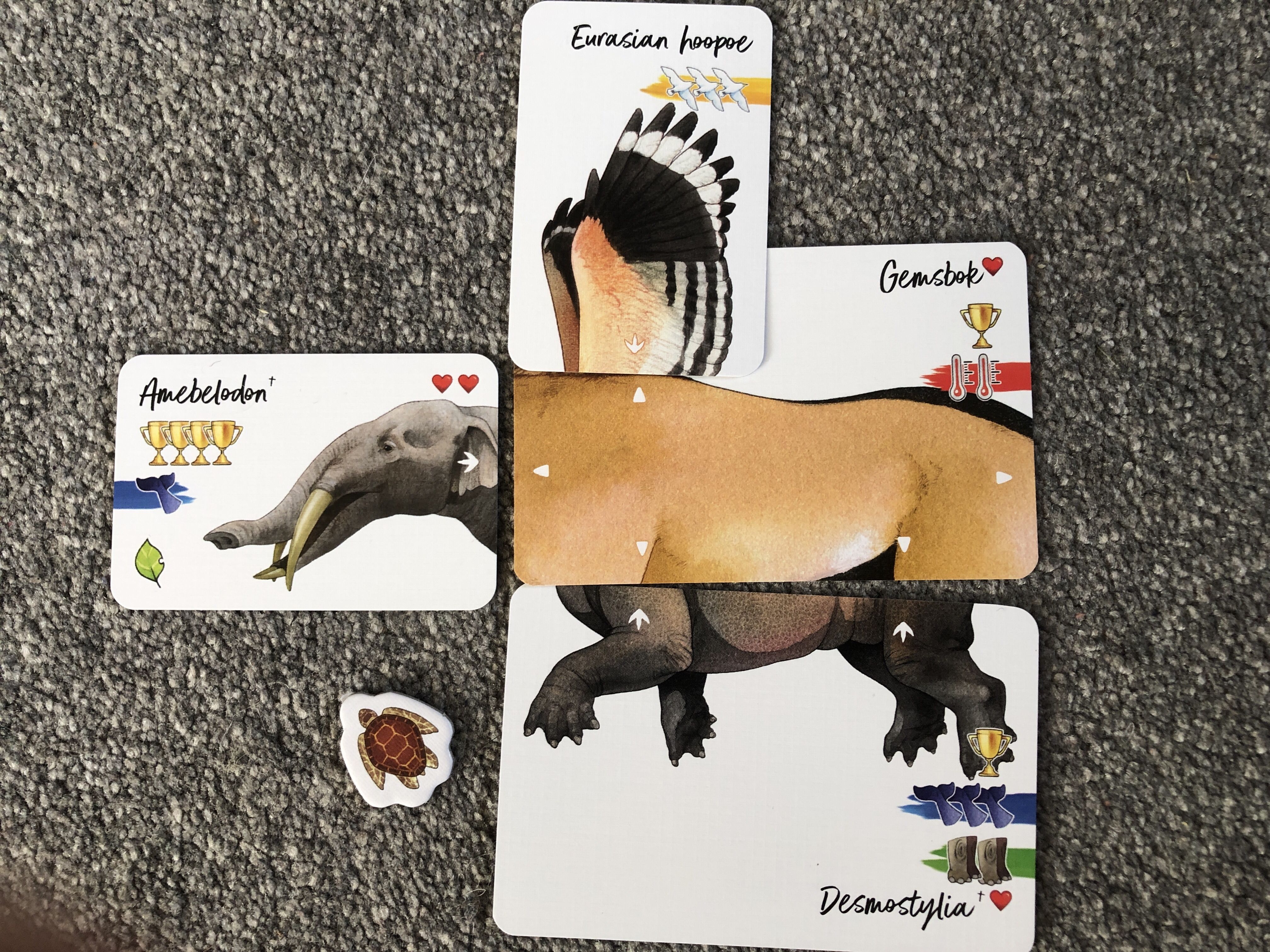 Treecer Darwin's Choice: Before and After Obrázek