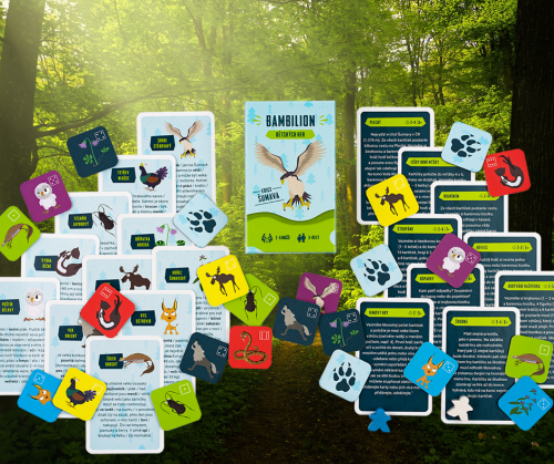 Dummy Bear Bambilion Šumava Obrázek