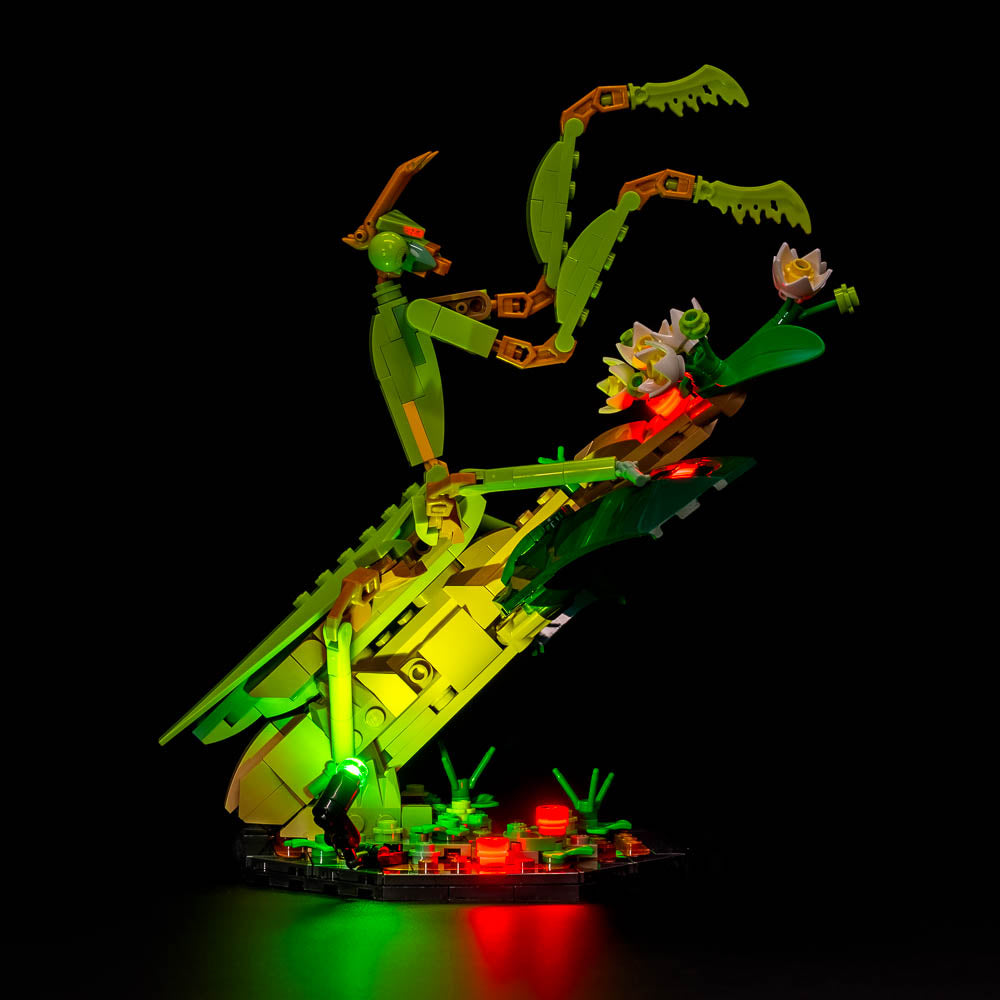 Light my Bricks Sada světel - LEGO The Insect Collection 21342 Obrázek