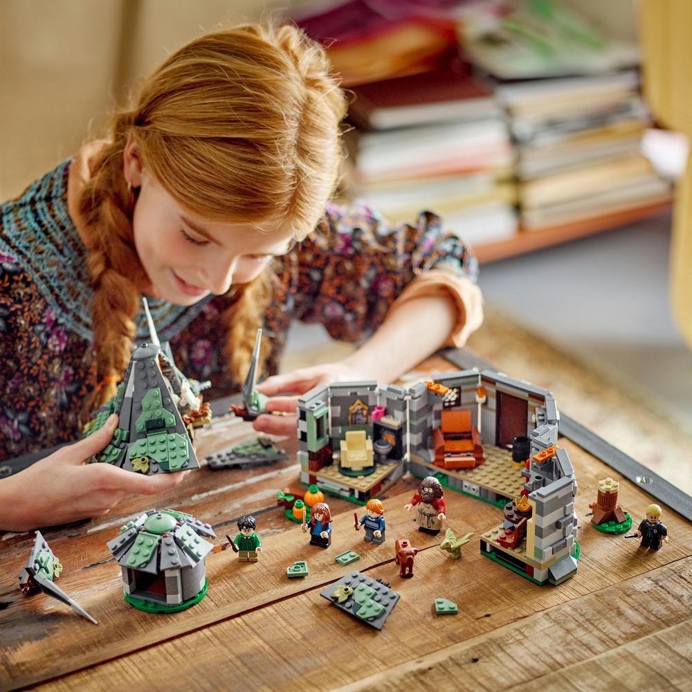 LEGO® Hagridova bouda: Neočekávaná návštěva 76428 Obrázek